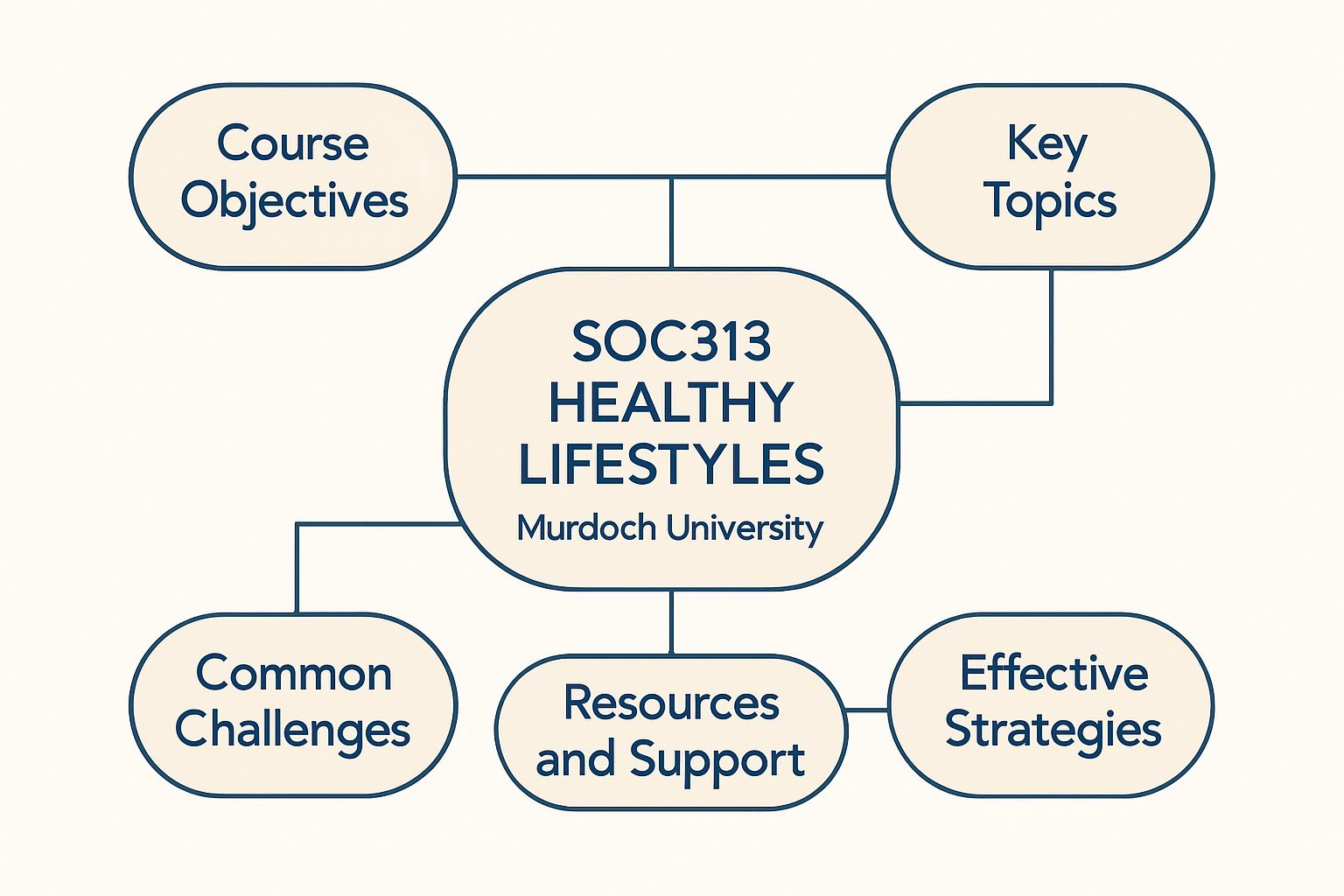 SOC313 Healthy Lifestyles Assignment Help at Murdoch University