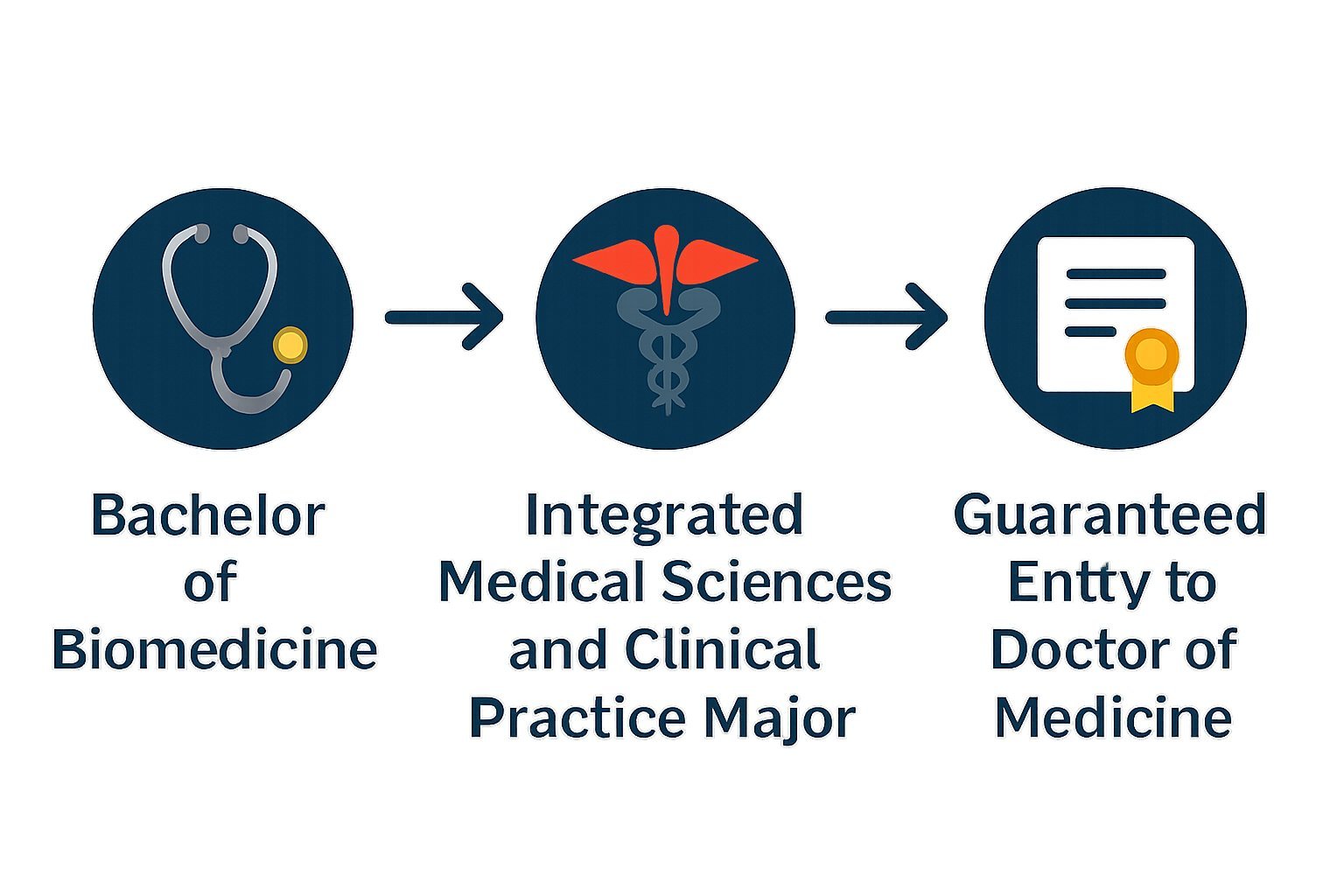 Doctor of Medicine via Bachelor of Biomedicine (Specialised) Assured Pathway Assignment Help | The University of Western Australia