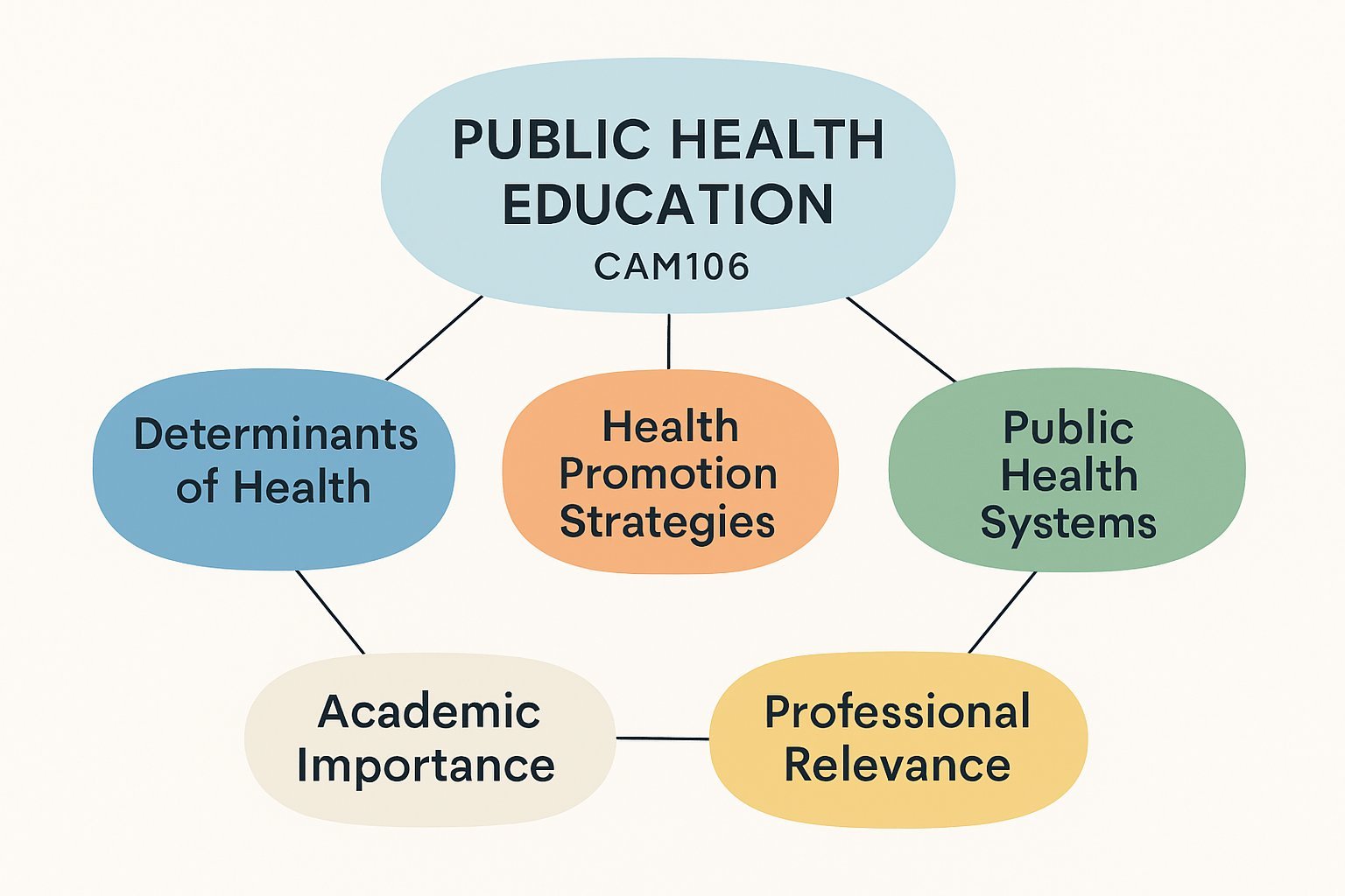 CAM106 Foundations of Public Health Assignment Help | UTAS